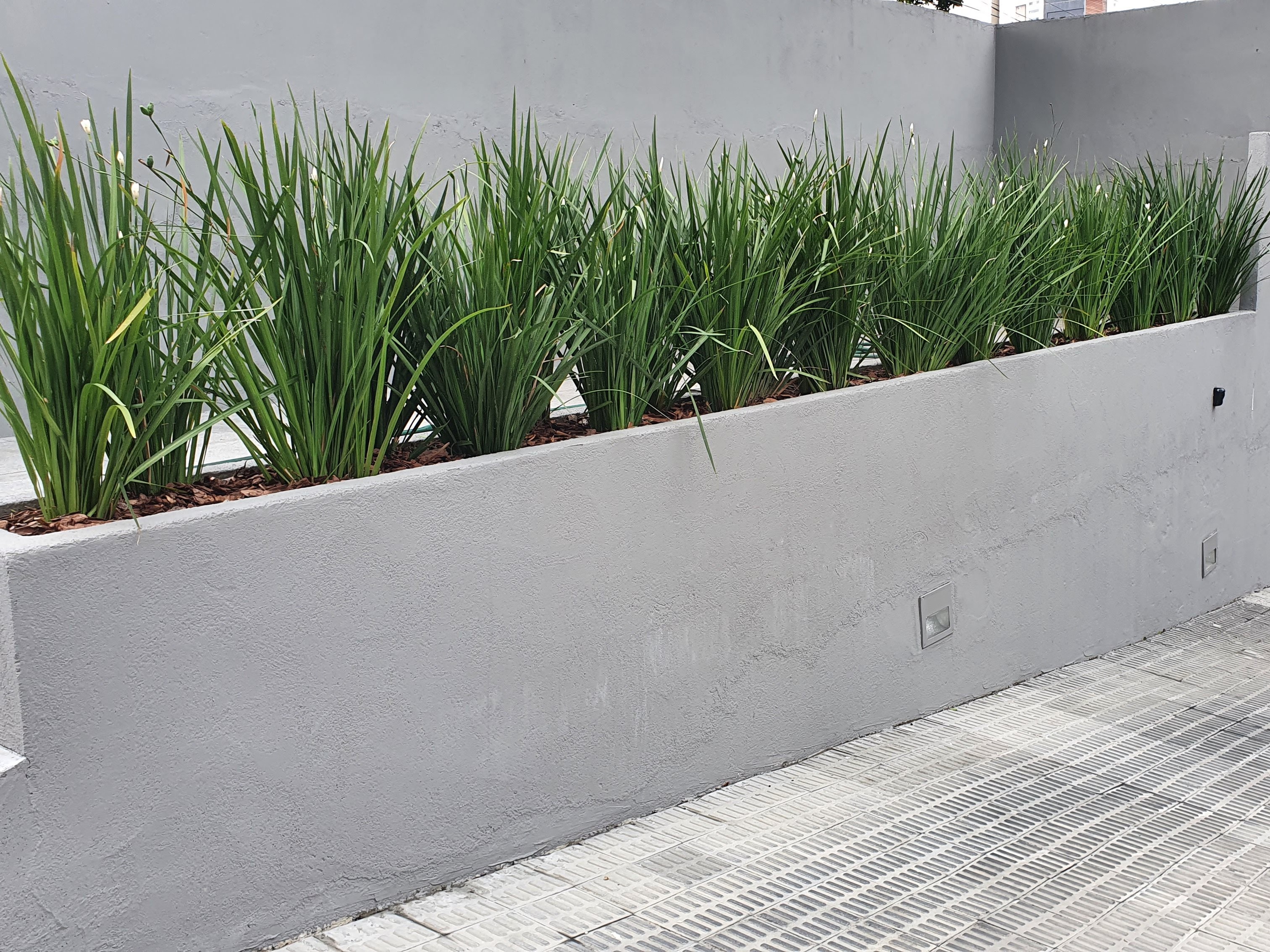 Espaço convivencia depois.jpg