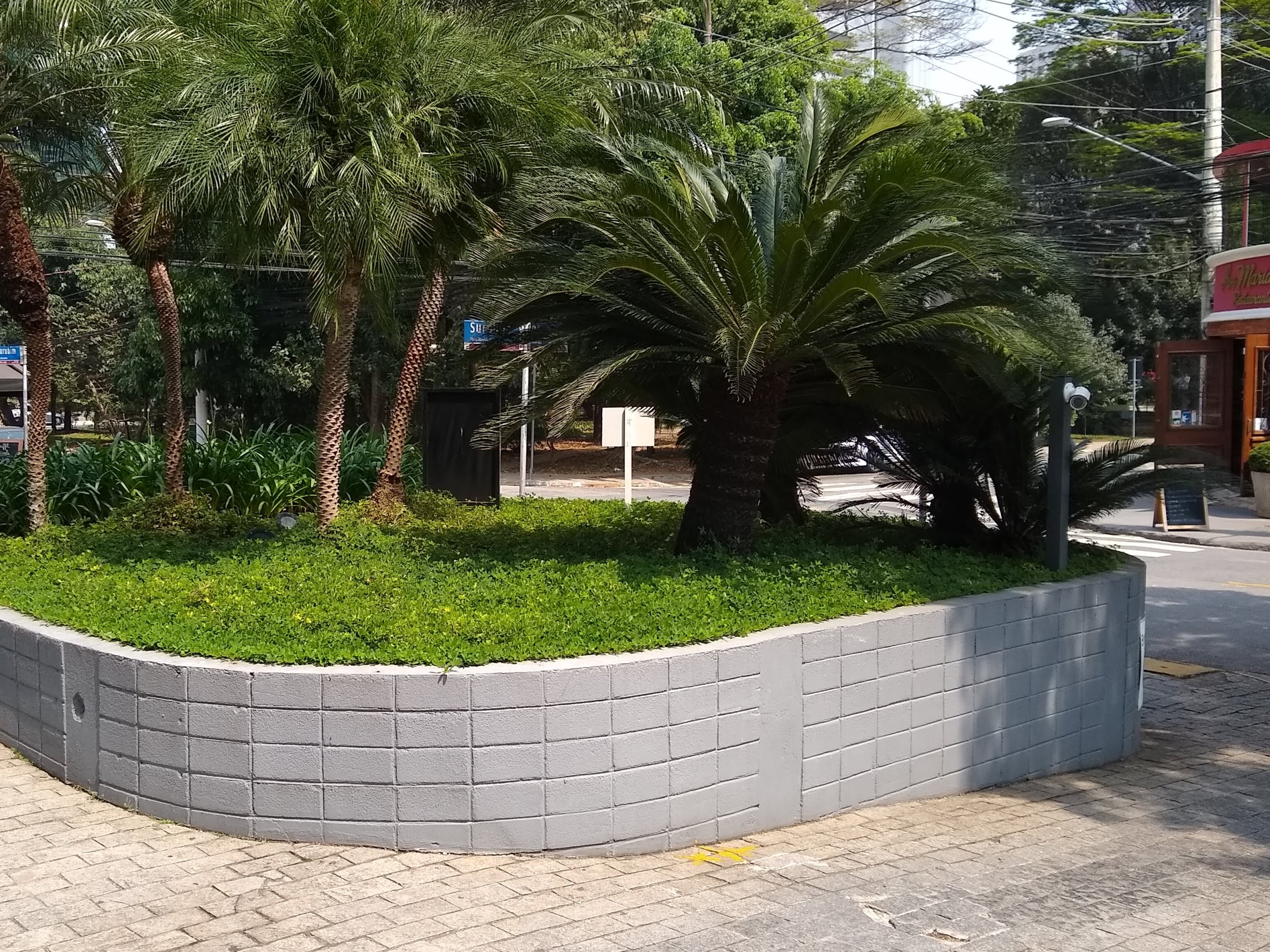 Canteiro rampa entr veículos antes.jpg